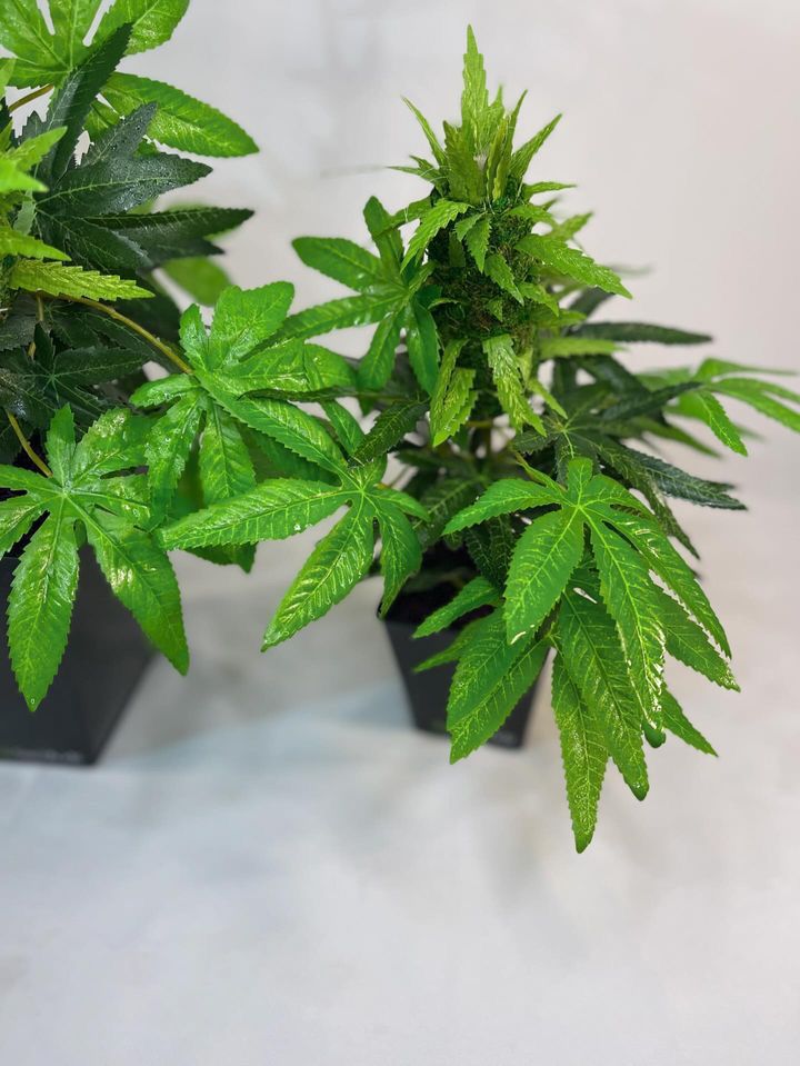  Artificial plants Fake cannabis plants fake outdoor plants, Fake trees, large artificial plants