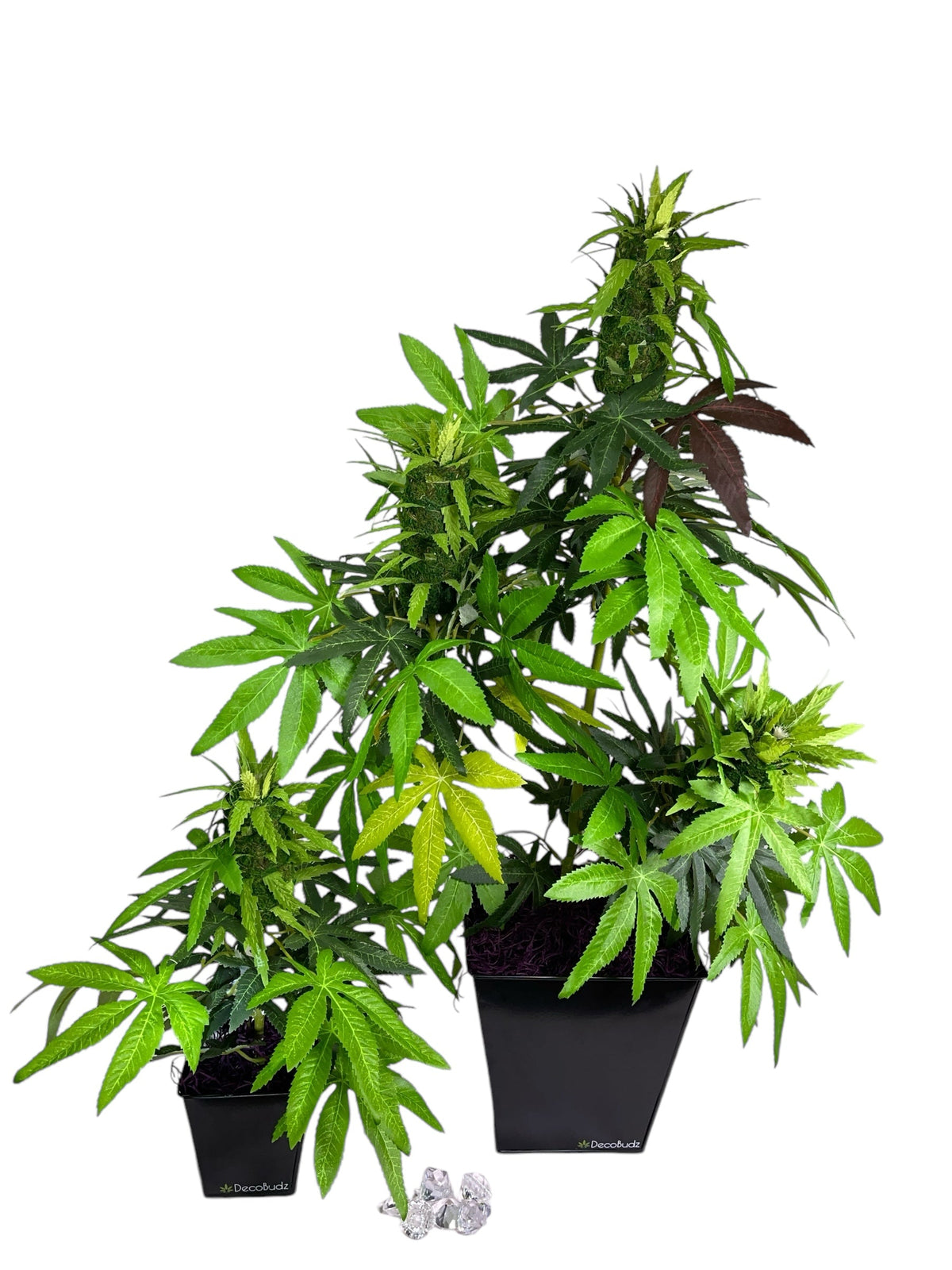 Artificial Cannabis Plants