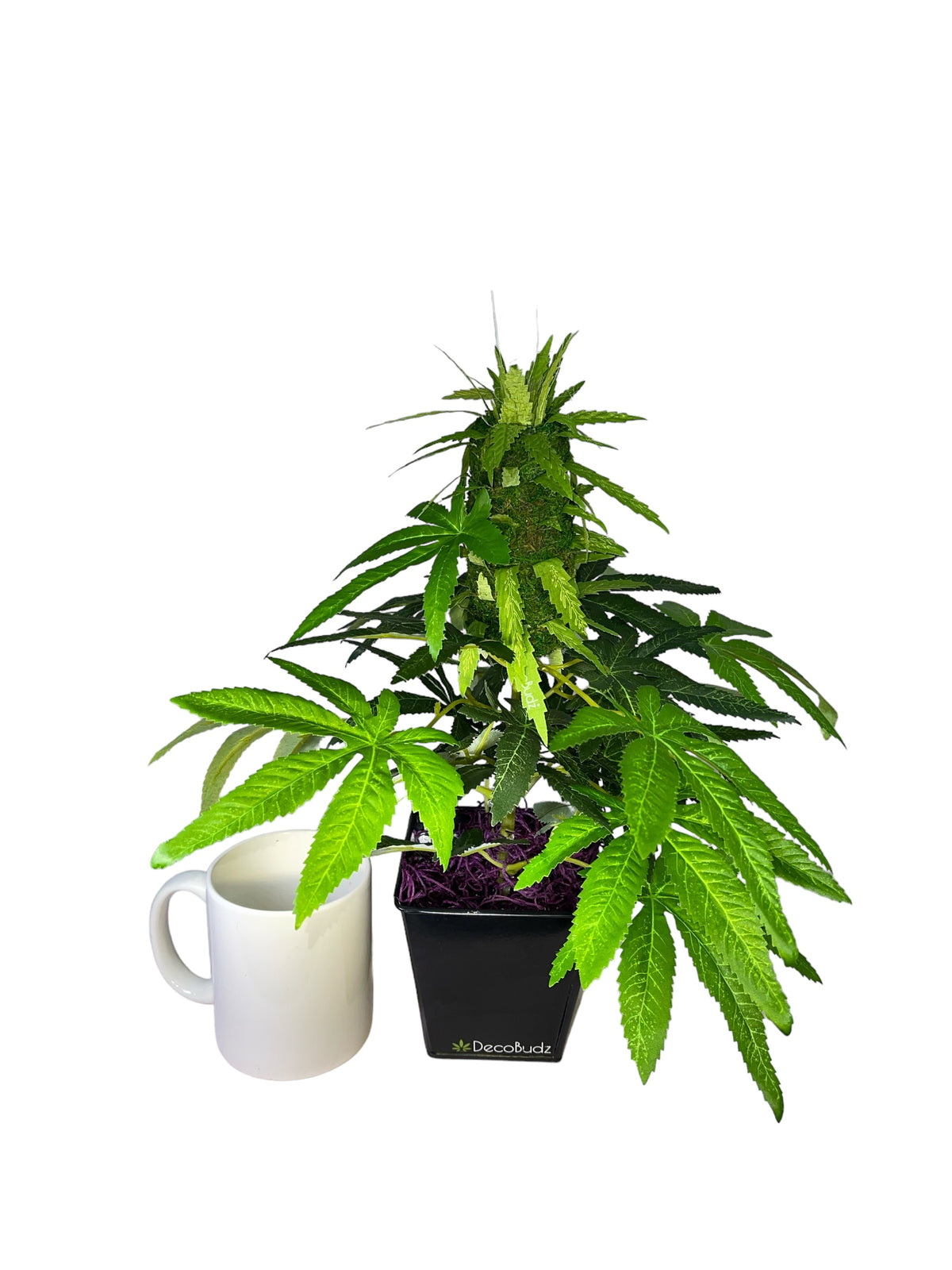 Realistic faux cannabis desktop plant with oversized bud, perfect for office decor