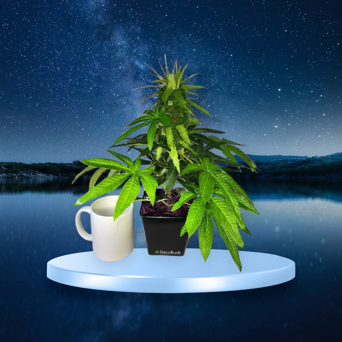 DecoBudz faux cannabis plant showcasing bold, physical decor with lifelike texture and realistic craftsmanship