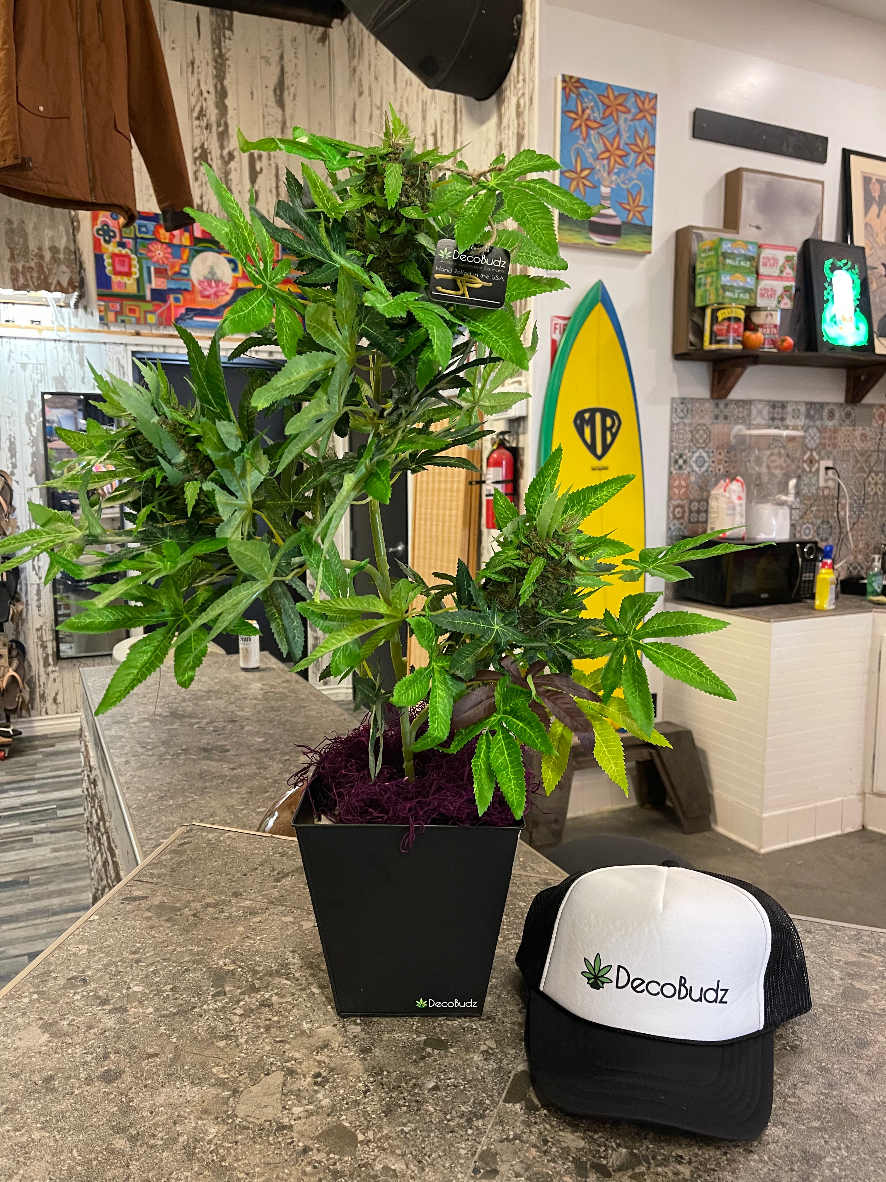  and branded trucker hat showcased in a California surf shop, combining beach culture with bold decor