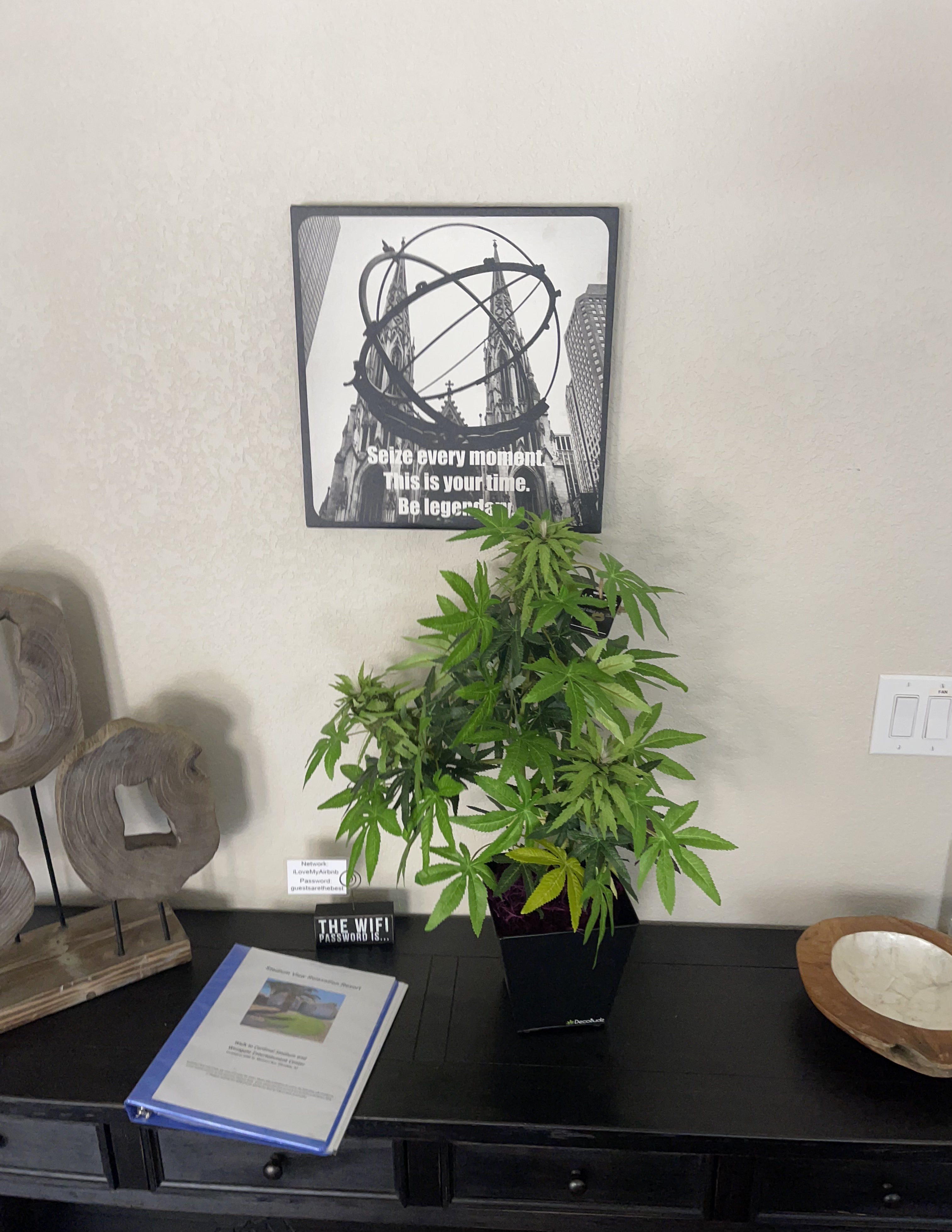 Lifelike DecoBudz plant featured on a reception table in a cannabis-friendly AirBnB, creating a bold and inviting atmosphere.