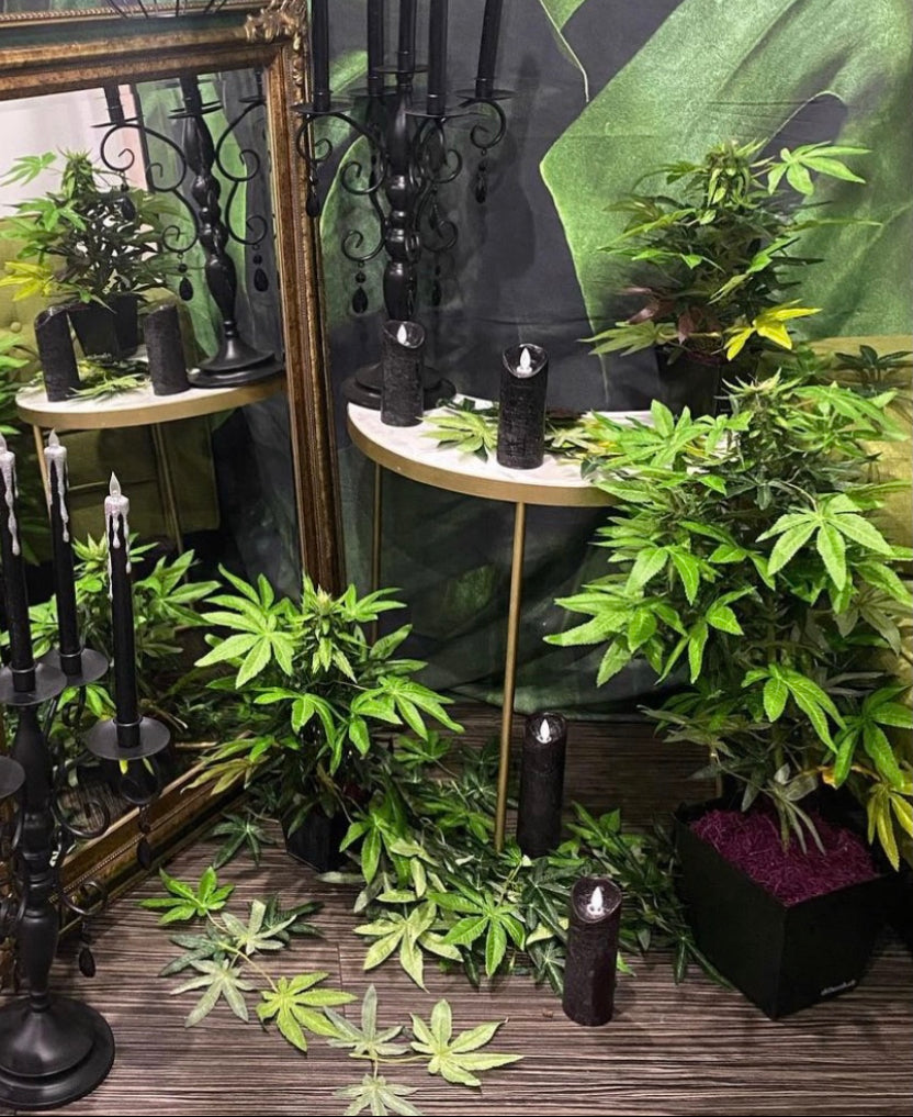 Artsy boudoir-style photoshoot featuring lifelike DecoBudz faux cannabis leaves, creating a bold and creative decor aesthetic